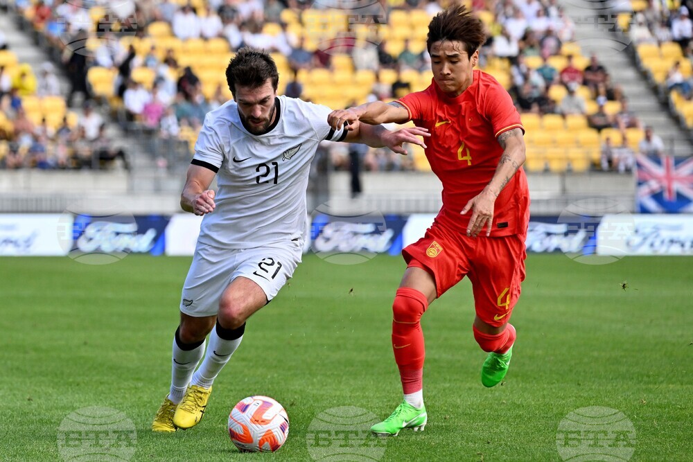 WCup New Zealand Payne Fame
