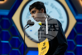 Spelling Bee