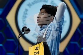 Spelling Bee
