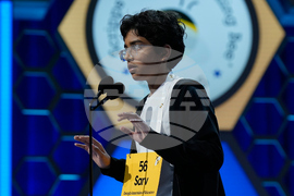 Spelling Bee