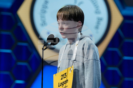 Spelling Bee
