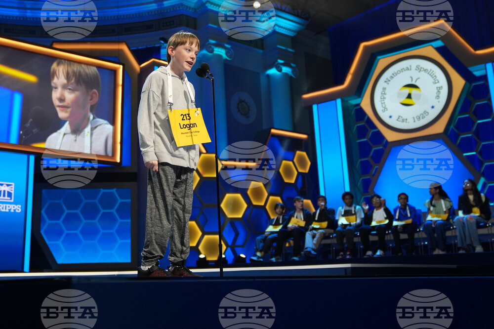Spelling Bee