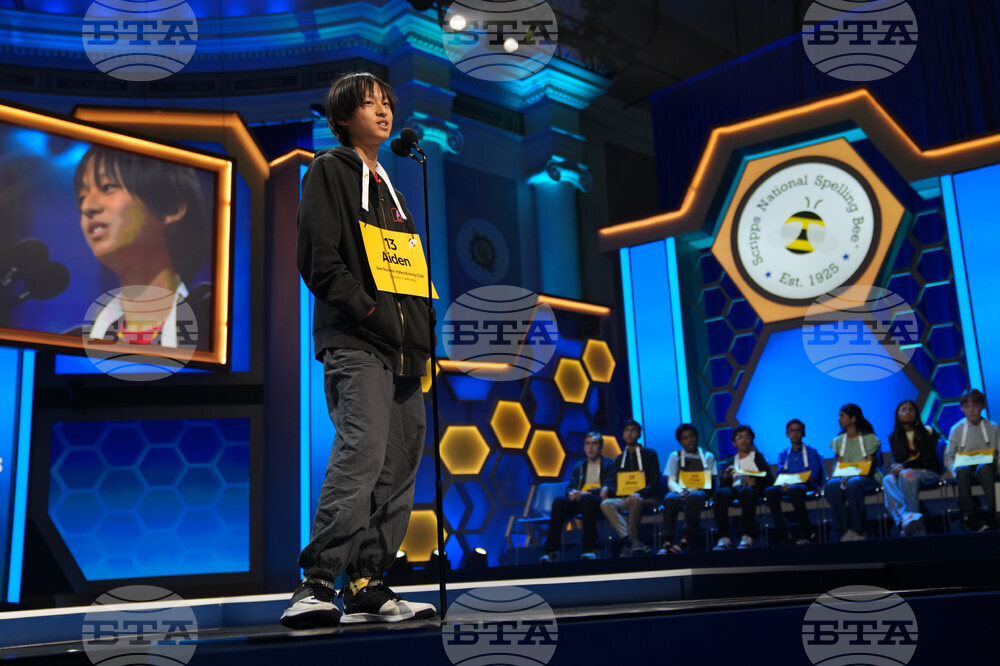 Spelling Bee