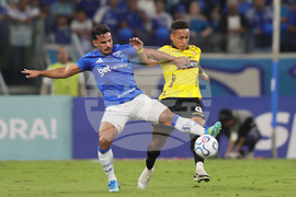 Brazil Ecuador Copa Libertadores Soccer