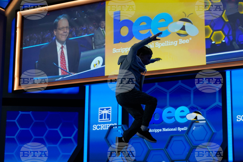 Spelling Bee