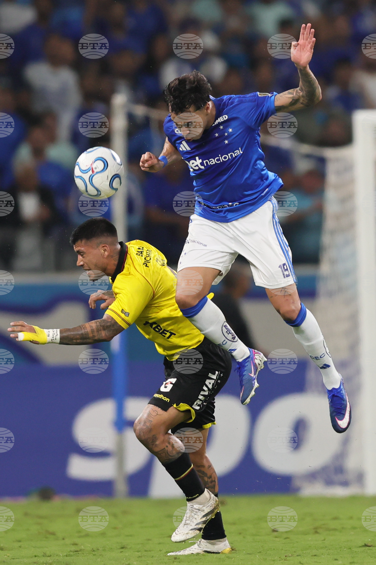 Brazil Ecuador Copa Libertadores Soccer