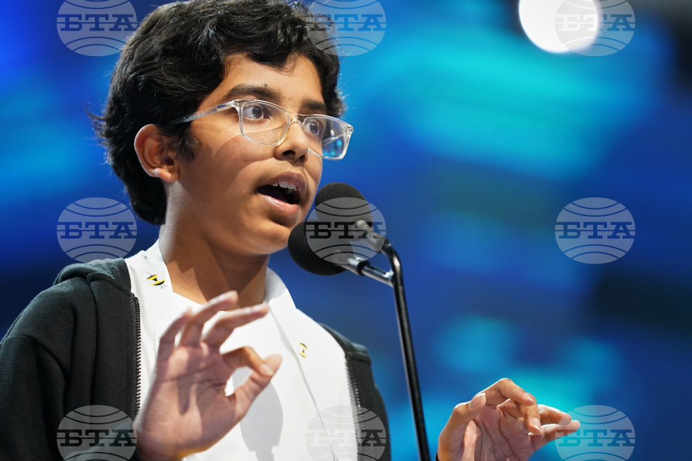 Spelling Bee