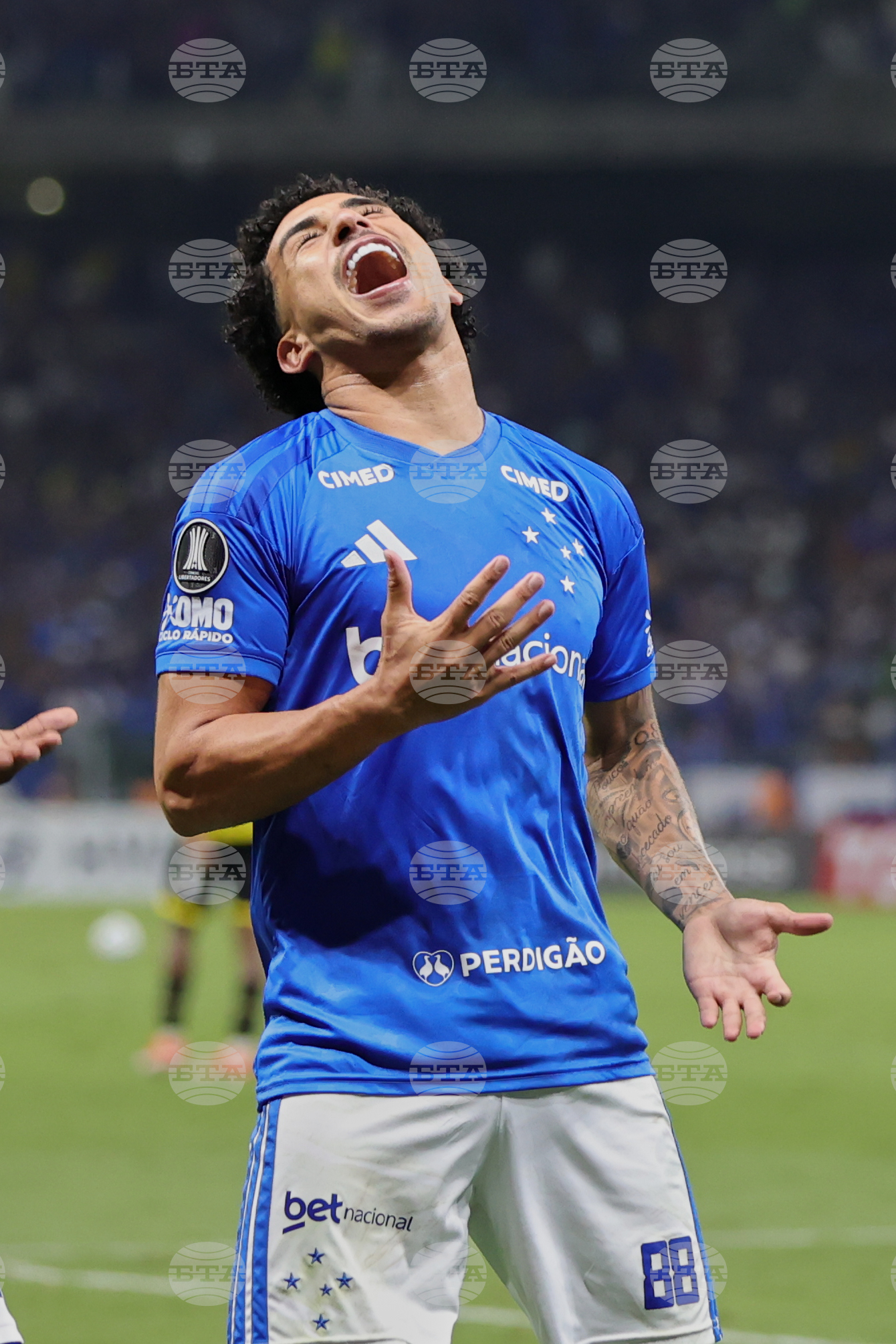 Brazil Ecuador Copa Libertadores Soccer