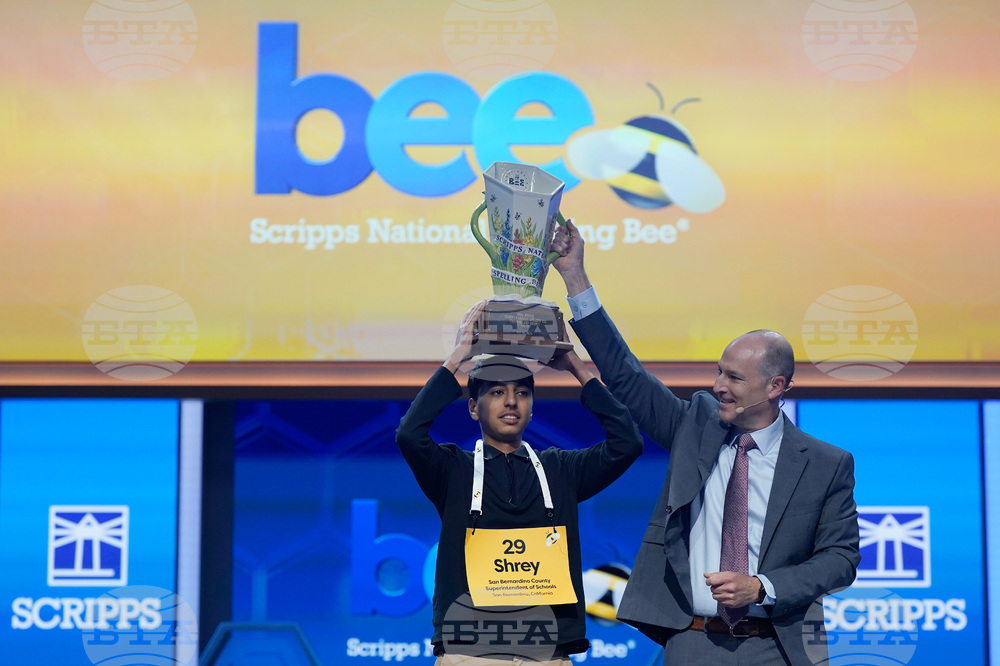Spelling Bee