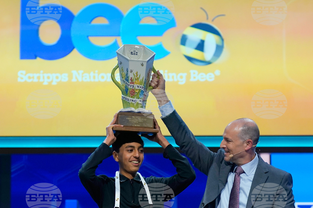 Spelling Bee