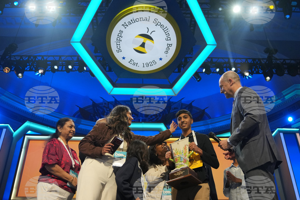 Spelling Bee