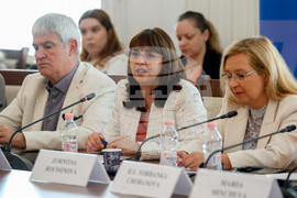 Народно събрание - тристранна среща - Наталия Ефремова