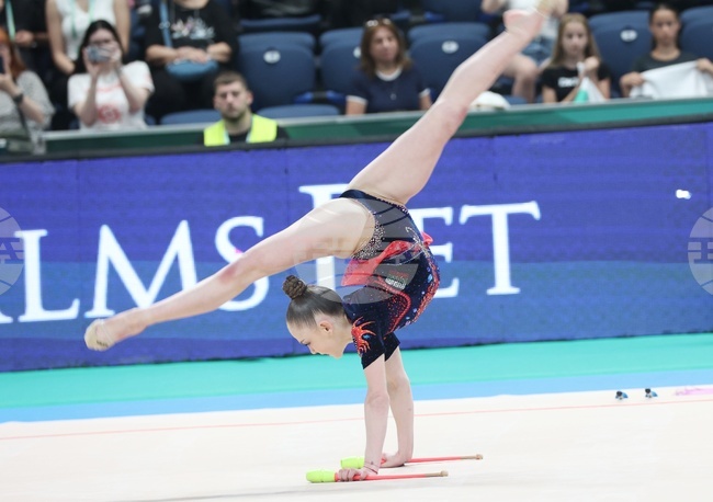 Sport