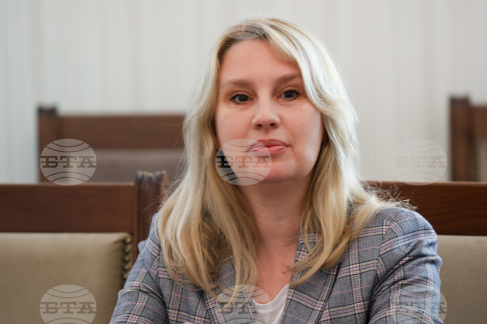 Народно събрание - тристранна среща - Ина Агафонова