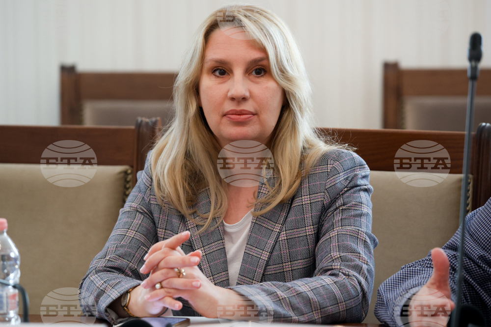 Народно събрание - тристранна среща - Ина Агафонова