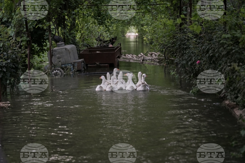 Syria Floods
