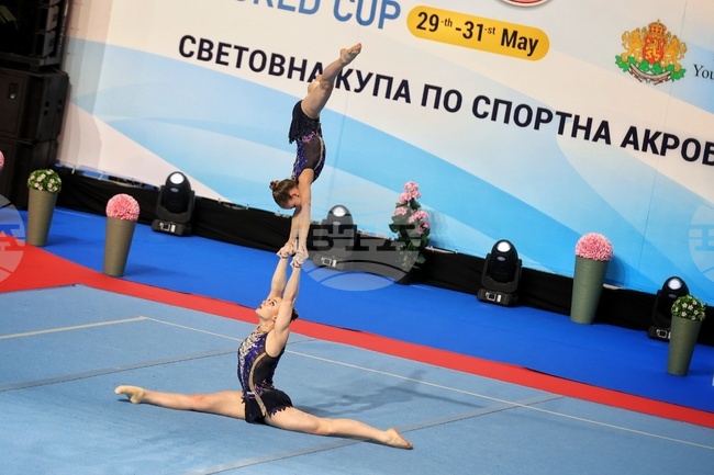 Sport