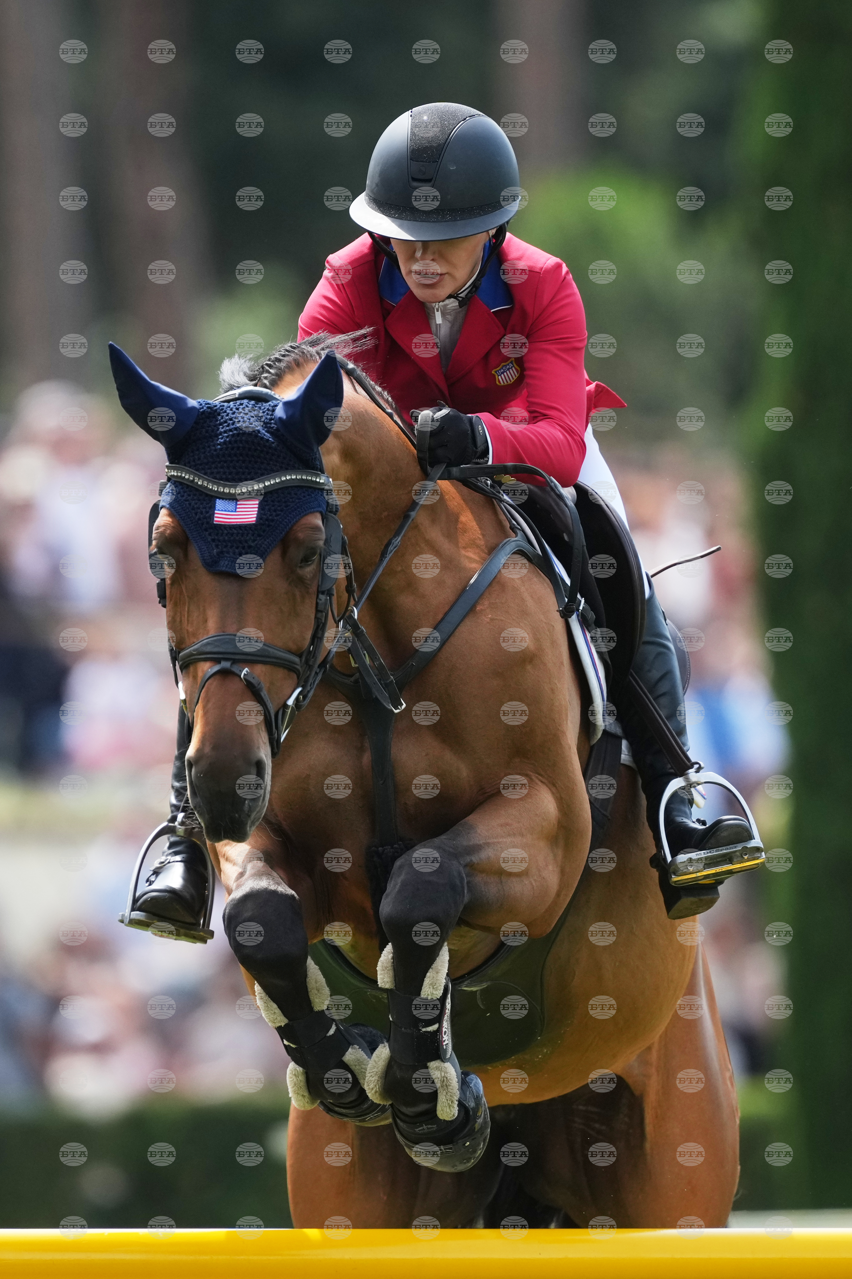 Italy Horse Show