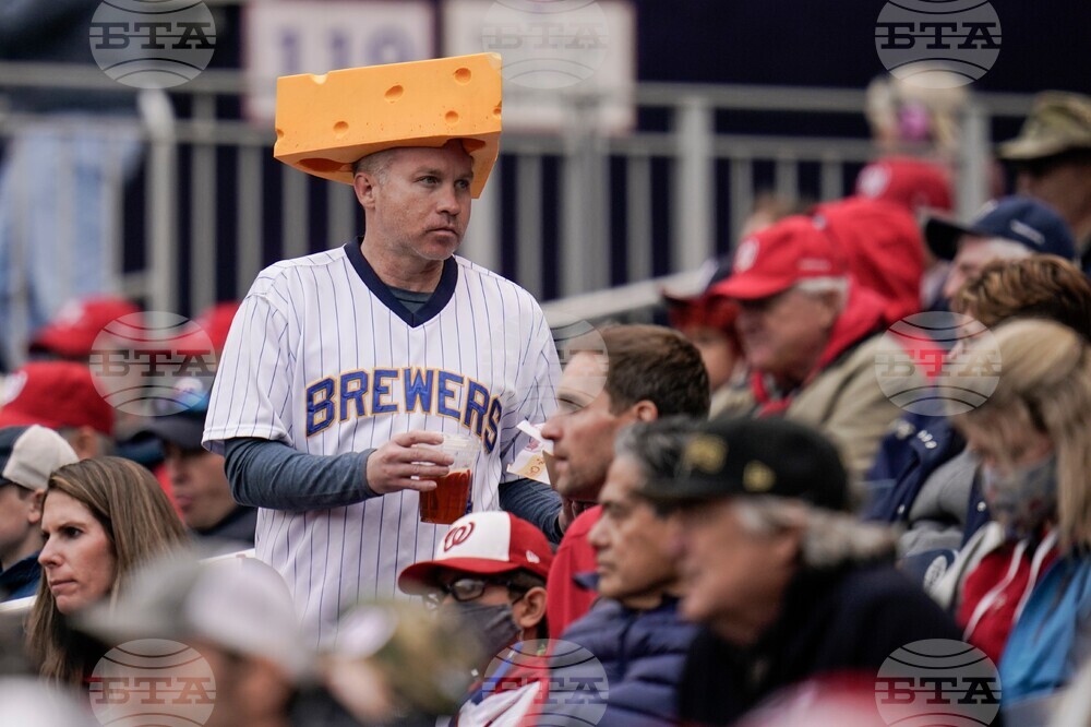 American Objects The Cheesehead Hat