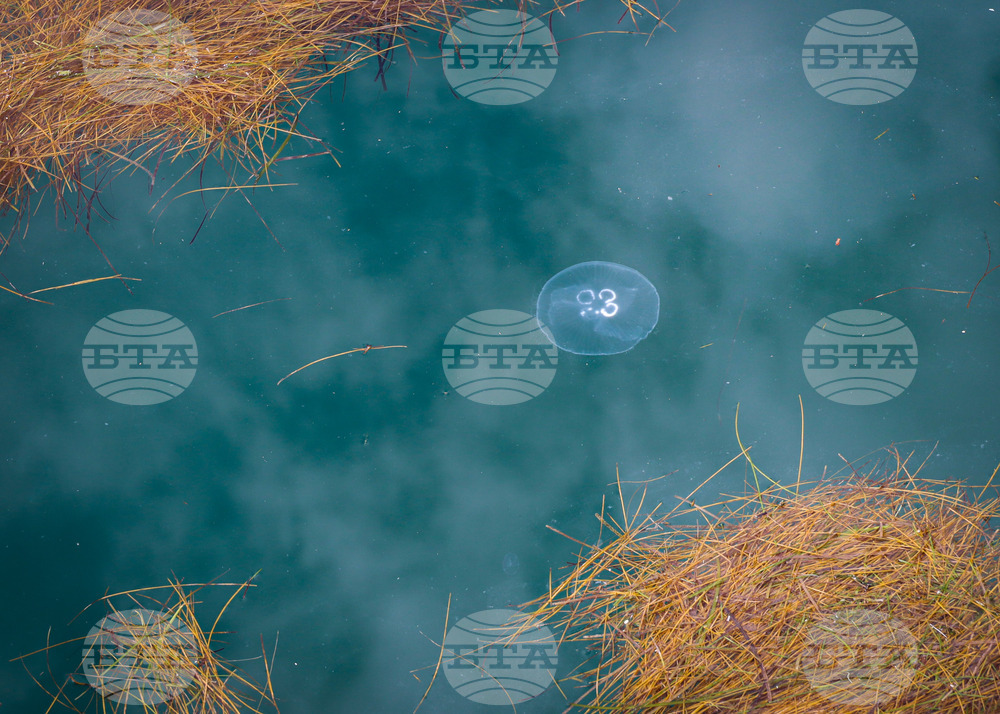 Бургас - Черно море - медузи