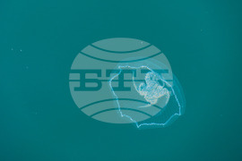 Бургас - Черно море - медузи