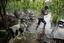 Syria Floods