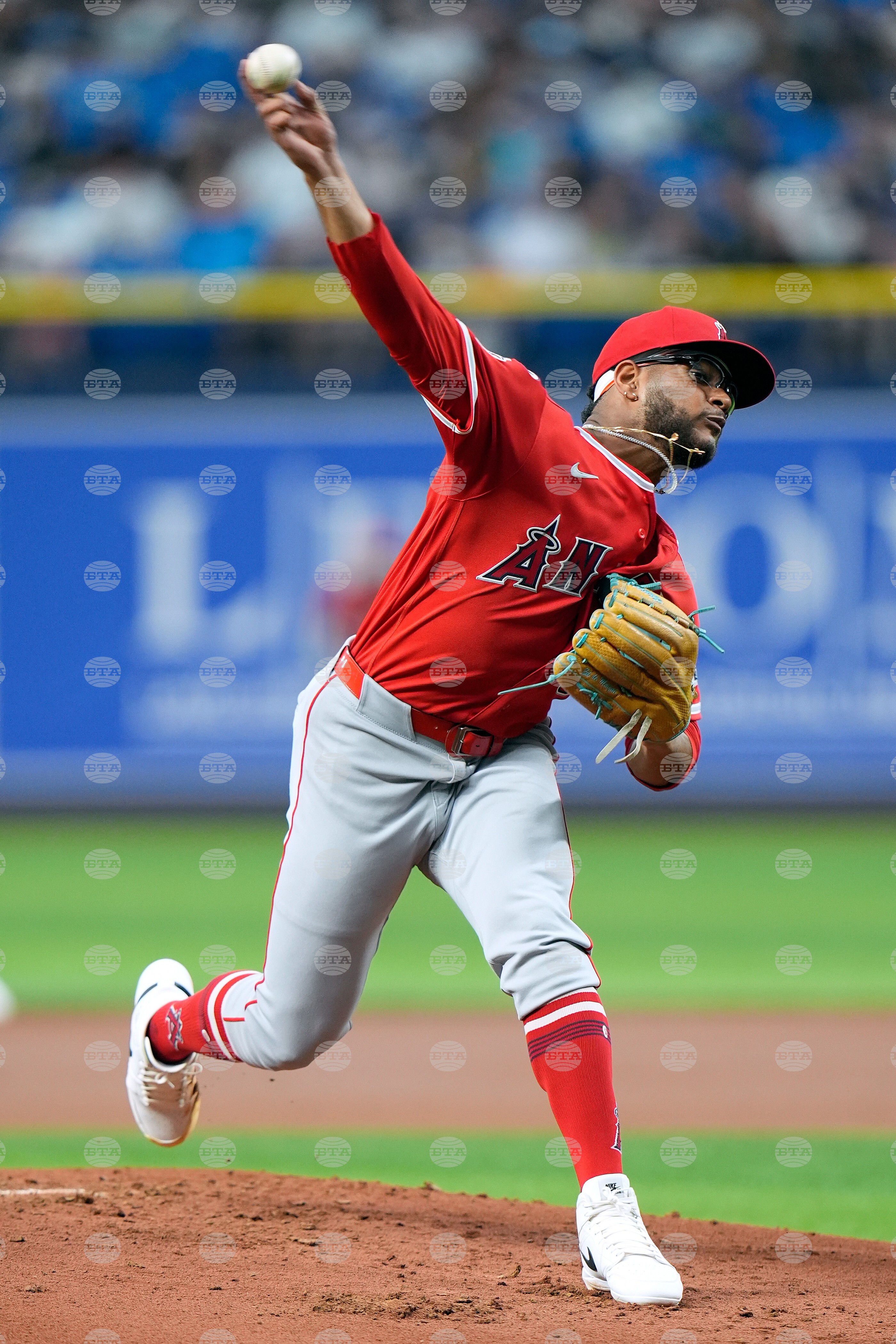 Angels Rays Baseball