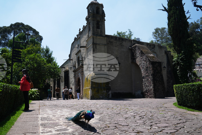 Mexico Museum