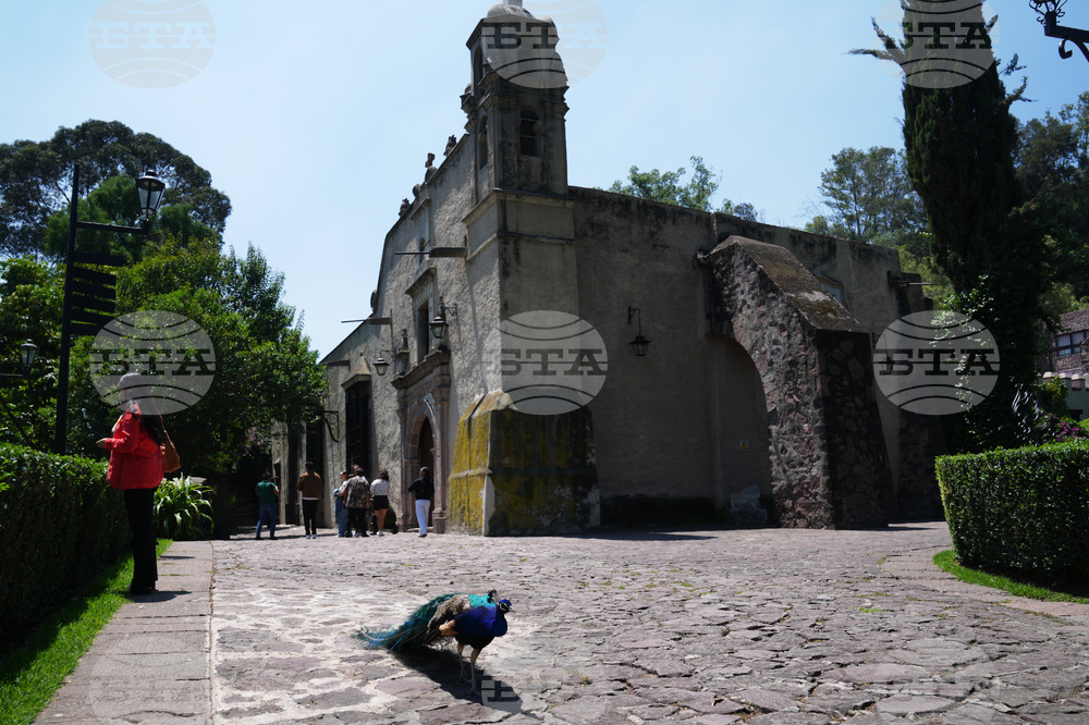 Mexico Museum