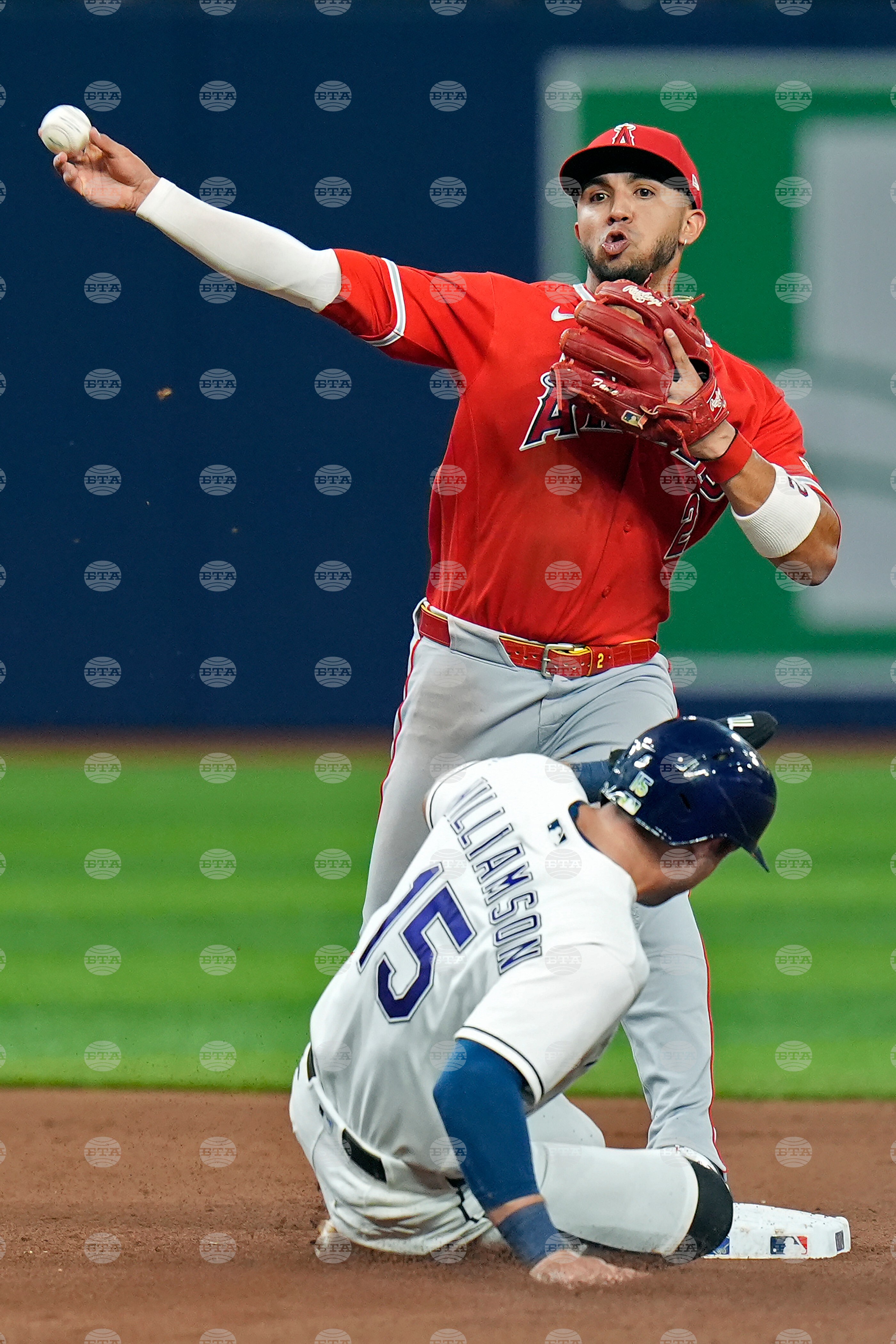 Angels Rays Baseball