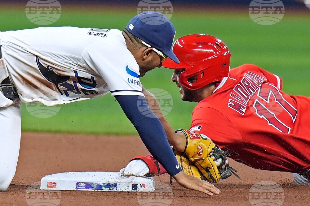 Angels Rays Baseball