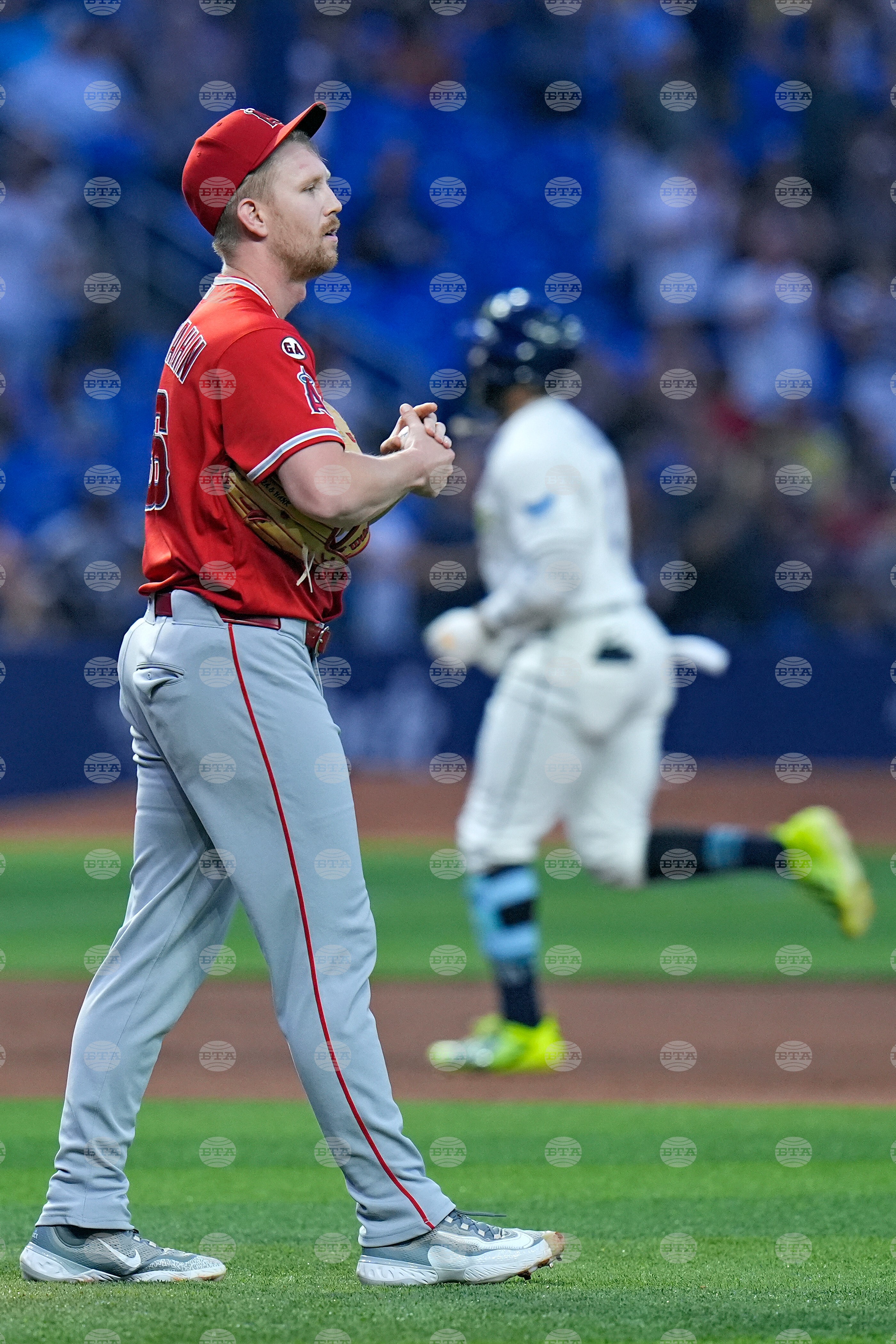 Angels Rays Baseball