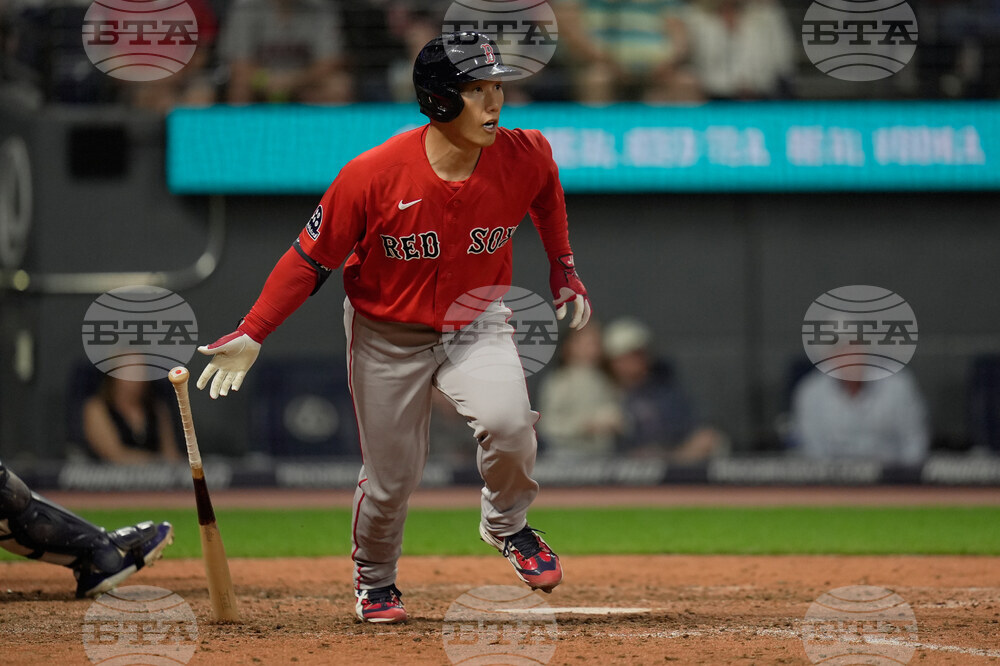 Red Sox Guardians Baseball