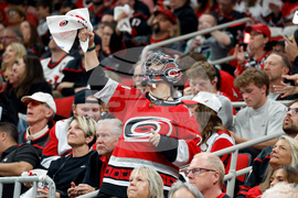 Canadiens Hurricanes Hockey