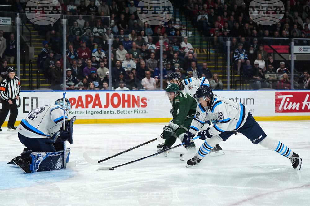 Memorial Cup Hockey