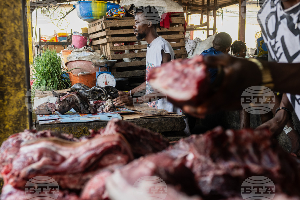 Ebola Wild Meat