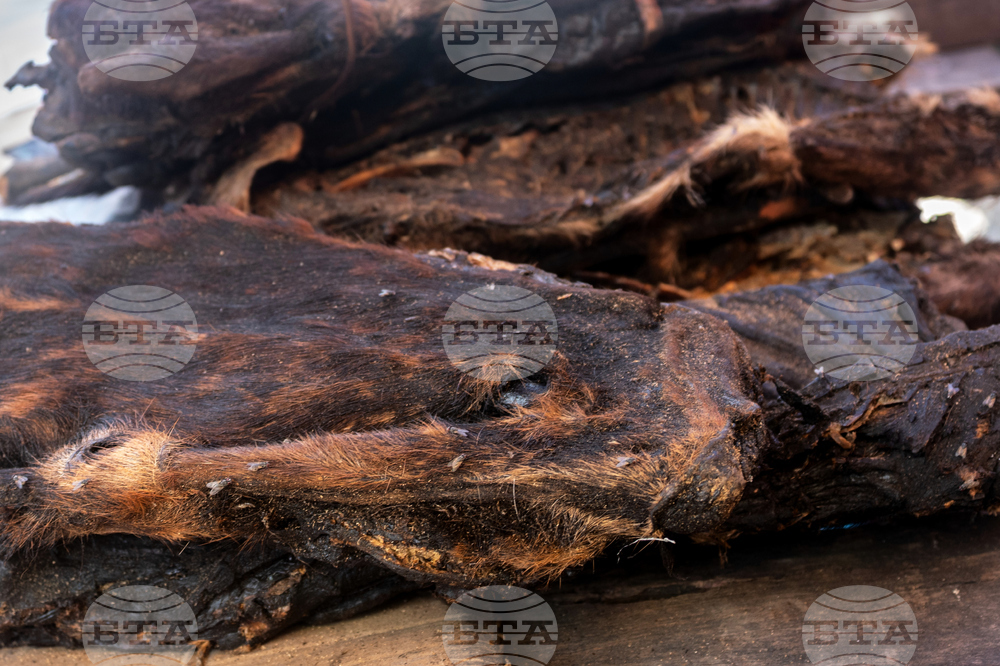 Ebola Wild Meat