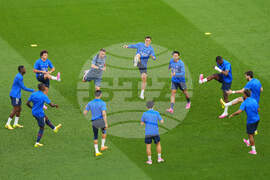 Hungary Champions League Final Soccer