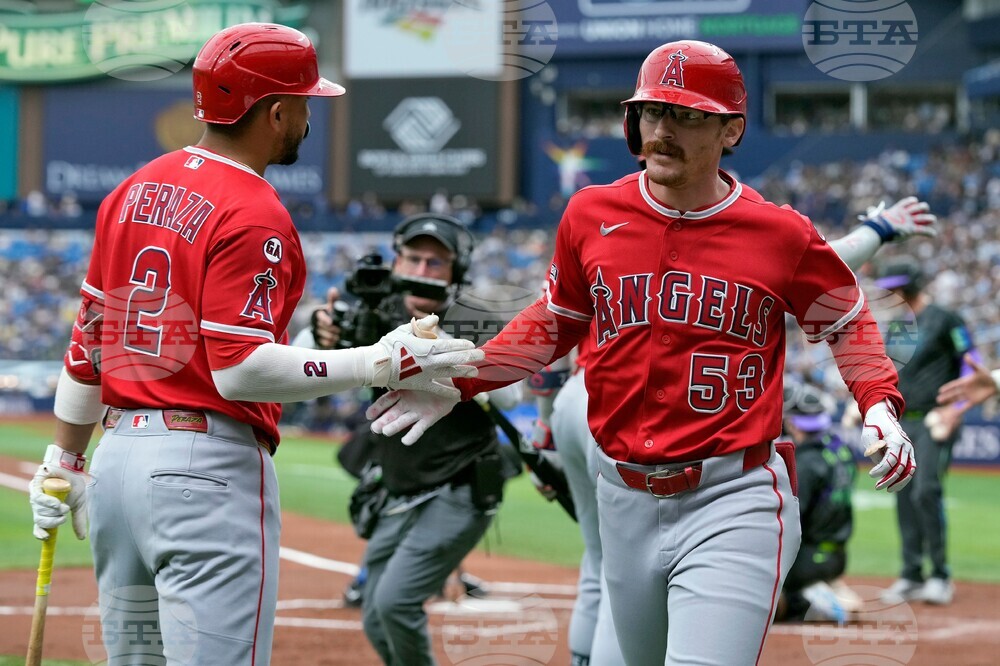 Angels Rays Baseball