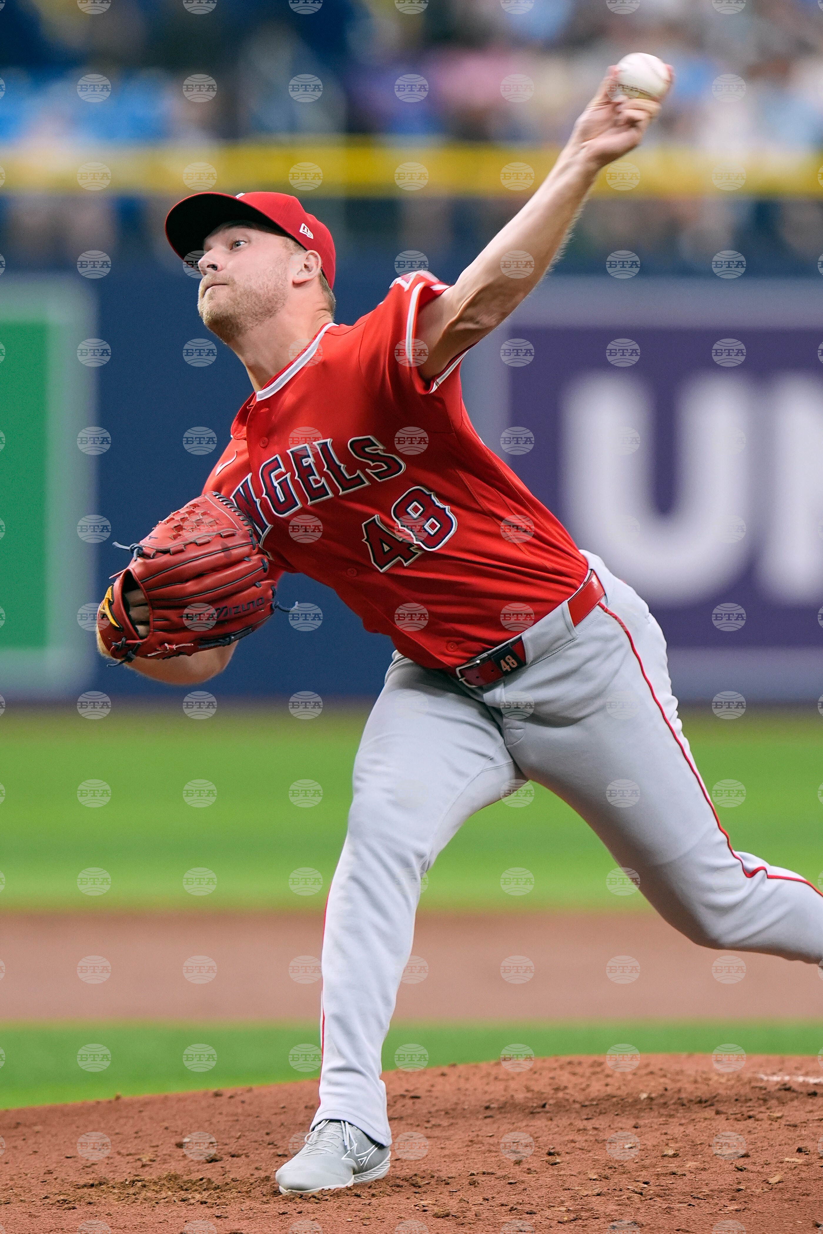 Angels Rays Baseball