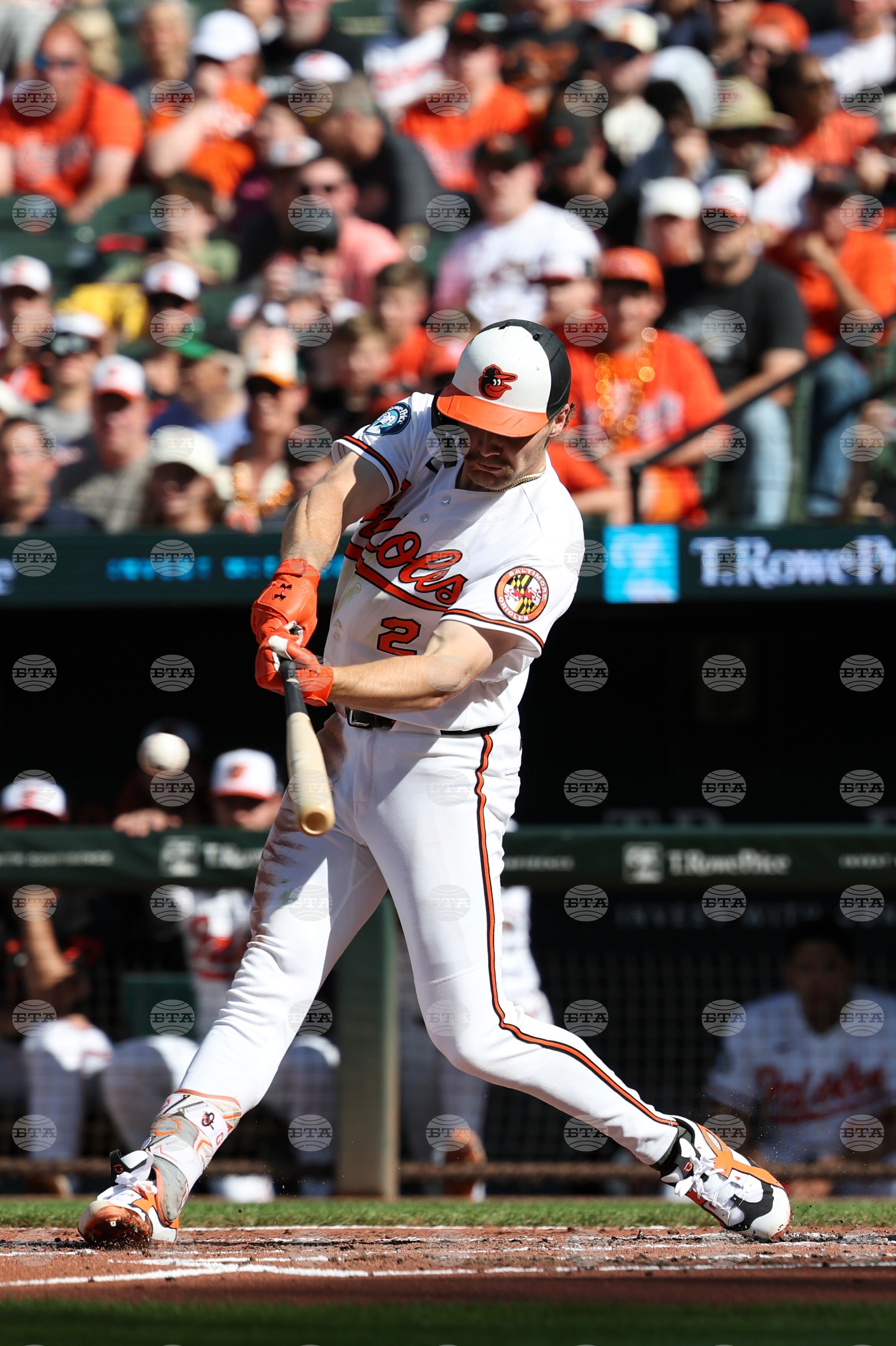 Blue Jays Orioles Baseball