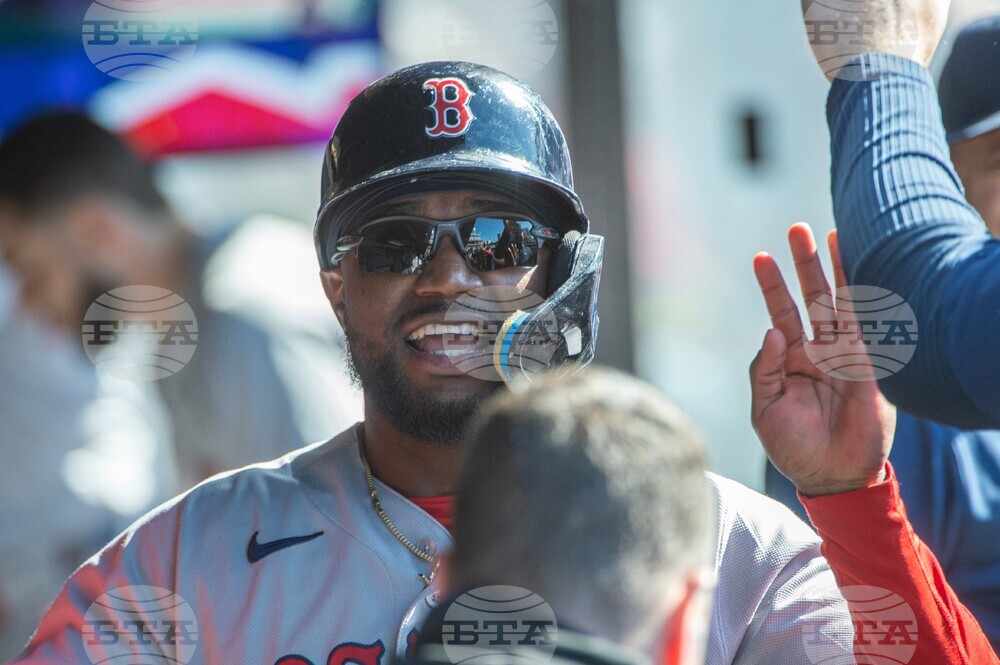 Red Sox Guardians Baseball