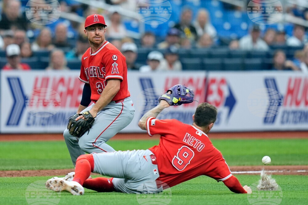Angels Rays Baseball