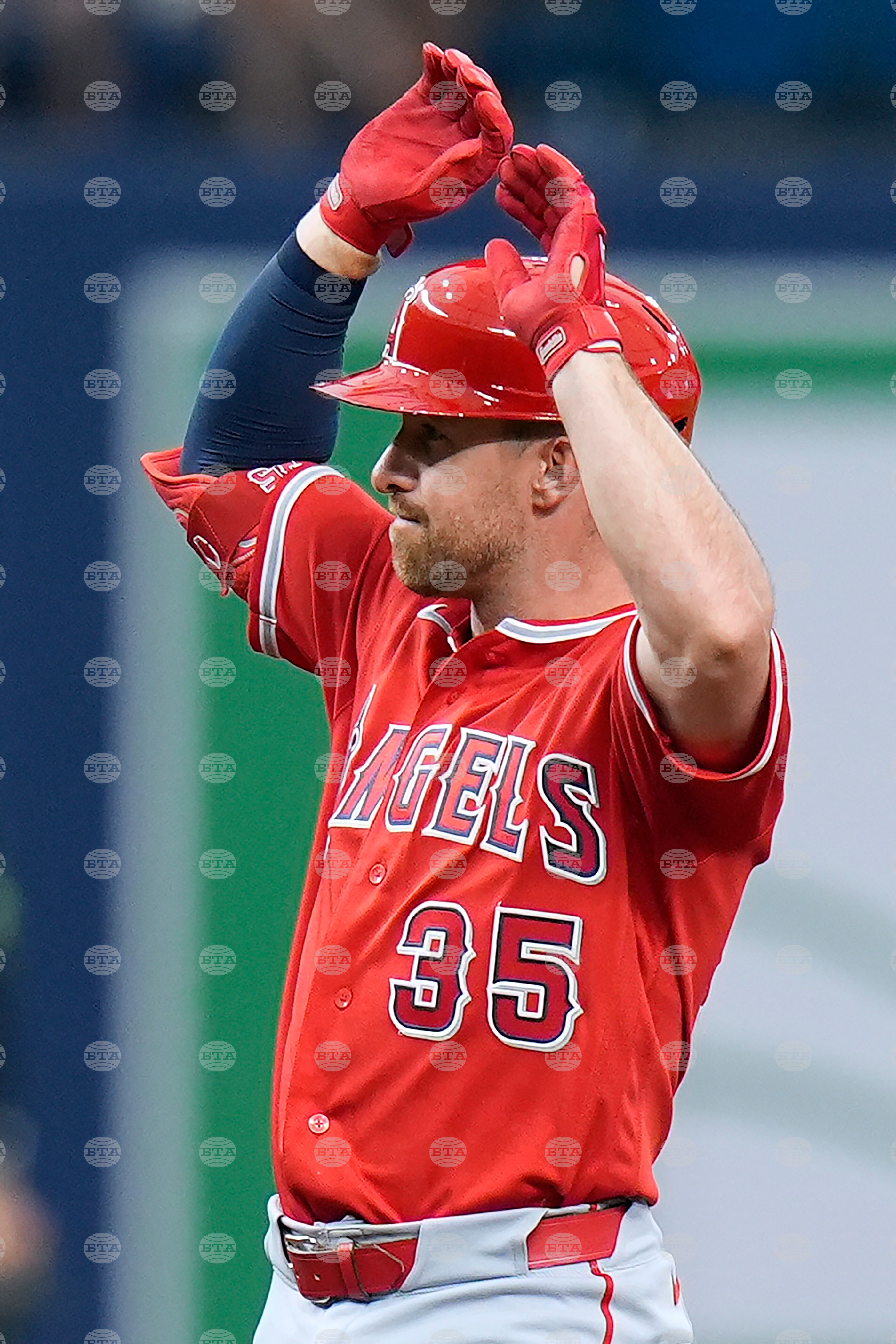 Angels Rays Baseball