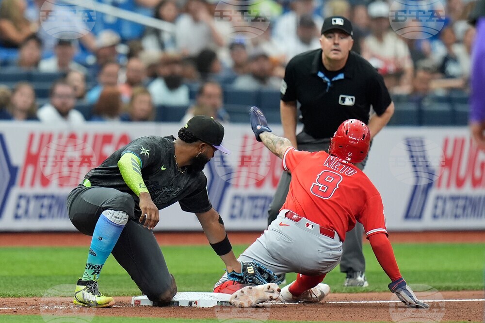 Angels Rays Baseball