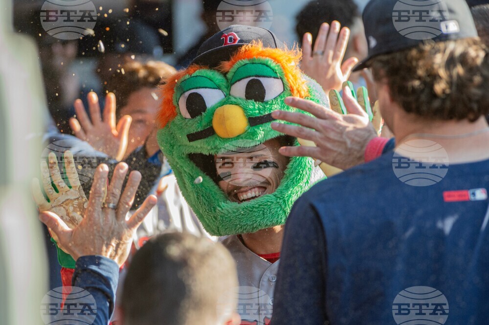 Red Sox Guardians Baseball