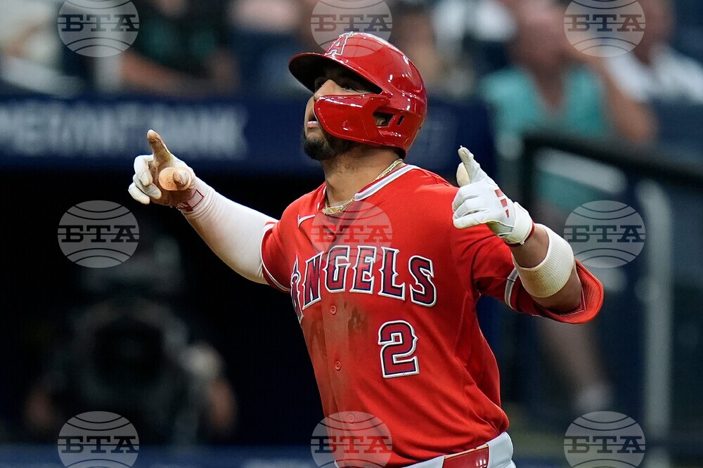Angels Rays Baseball