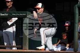 Blue Jays Orioles Baseball