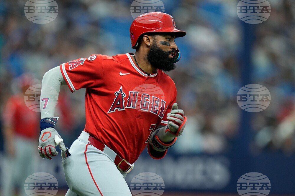 Angels Rays Baseball