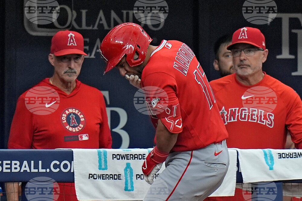 Angels Rays Baseball
